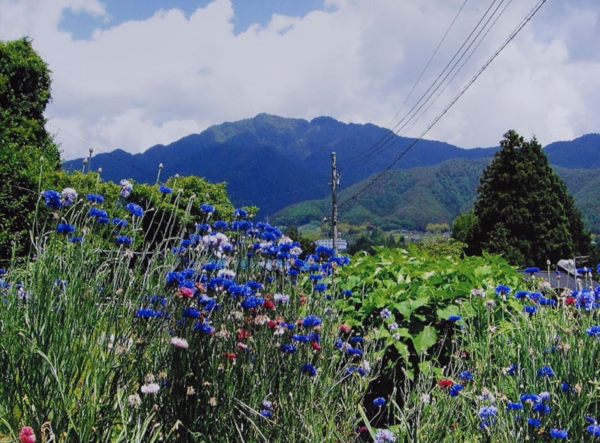 09-278木下明夫北方北部.jpg