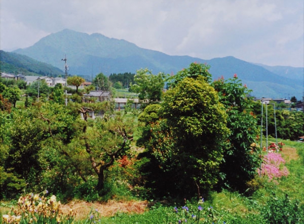 09-293清水多美勇伊賀良大瀬木鳥屋同志.jpg