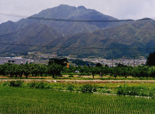 09-302中島一枝殿岡.jpg