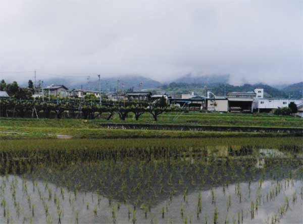 2011-040福島広_上郷黒田の秘.jpg