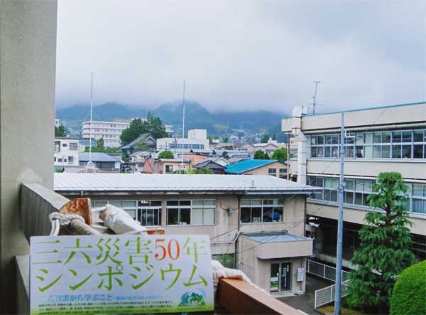 2011-059筒井いずみ_大久保町.jpg