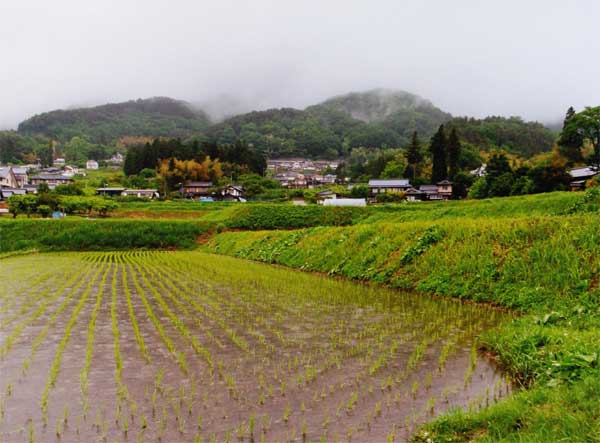 2011-081中島信行_丸山町三丁.jpg