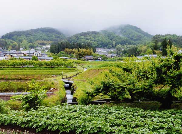 2011-082中島信行_丸山町三丁.jpg