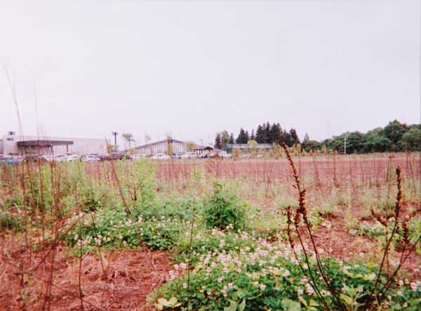 2011-191生田正和_飯田市三日.jpg