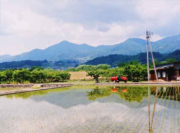 2012-002中島敏雄_豊丘村神稲.jpg