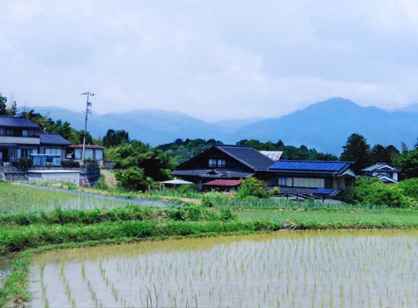 2012-044米山恵美子_喬木村.jpg