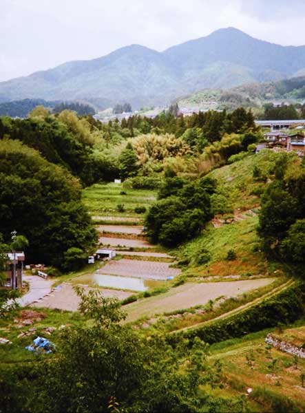 2012-049塩沢登_飯田市座光寺.jpg