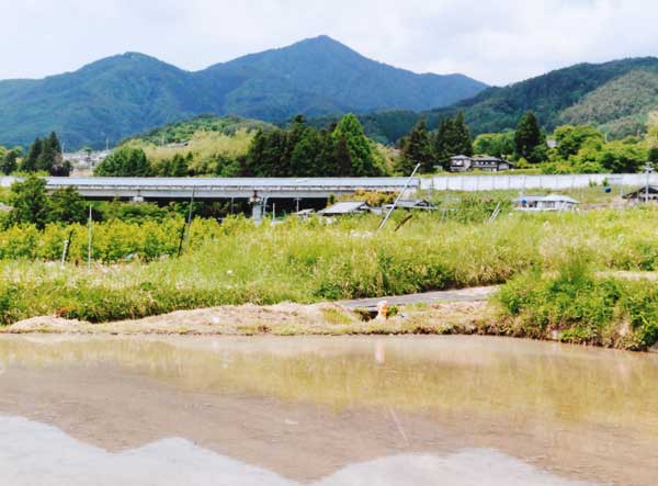 2012-051松村昭子_座光寺宮崎.jpg