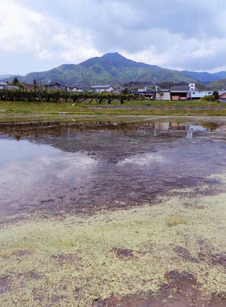 2012-060福島綾乃・由唯_上郷.jpg