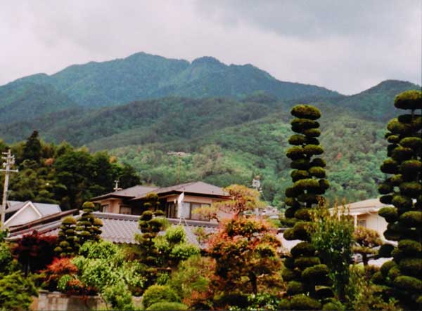 2012-139馬場田栄二_神社参道.jpg