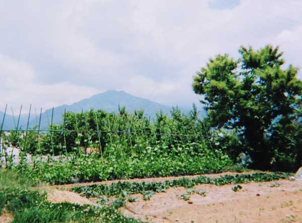 2012-201勝野淳子_市立病院医.jpg