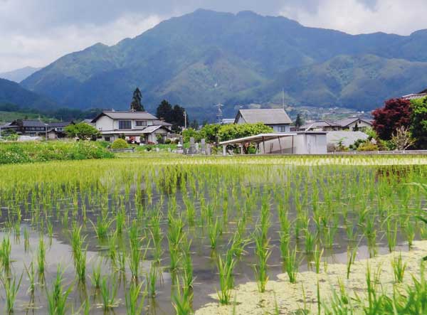 2012-259土屋不二夫_北方.jpg