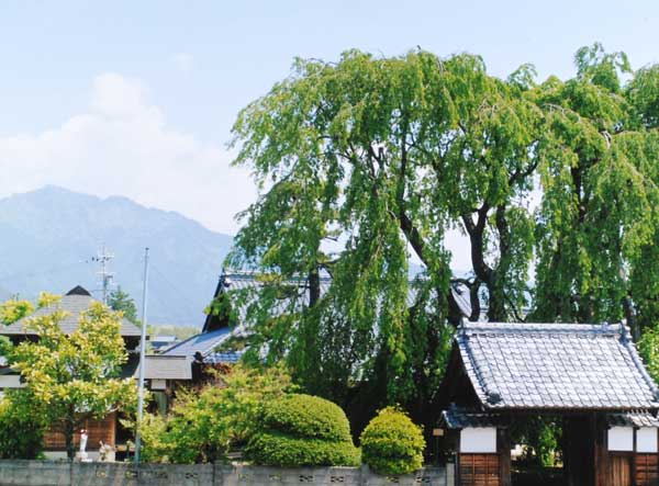 2012-272北原政和_増泉寺.jpg