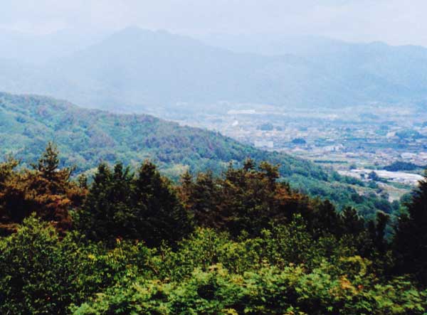 2012-289田原福男_山本城山公.jpg