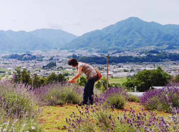 2013-016中村茂男_喬木村縄文の丘.jpg