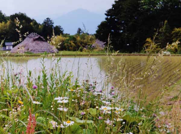 2013-158大倉俊行_上久堅北田遺跡.jpg