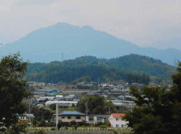 2013-165筒井洋子_竜江桜街道.jpg