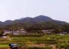 2013-071三浦妙子_丸山町３丁目.jpg