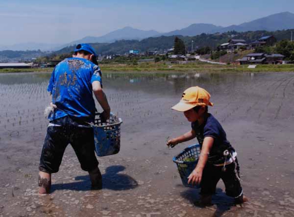 2014-009細田明美_高森町下市田工業団地.jpg