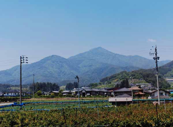 2014-028玉本幹弥_上郷黒田JAみなみ選果場.jpg