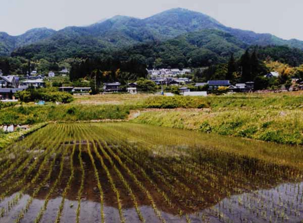 2014-062細沢勝義_丸山町３丁目.jpg