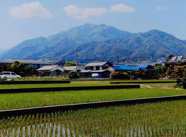 2014-106中島信行_鼎上山運動公園通り.jpg