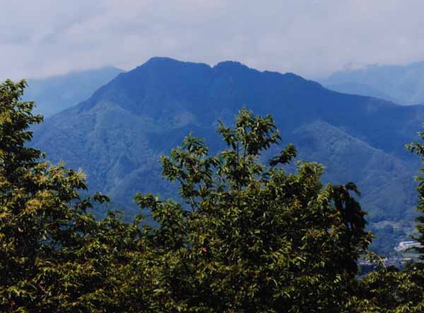 2014-169三ツ石克穂_城山公園山本.jpg