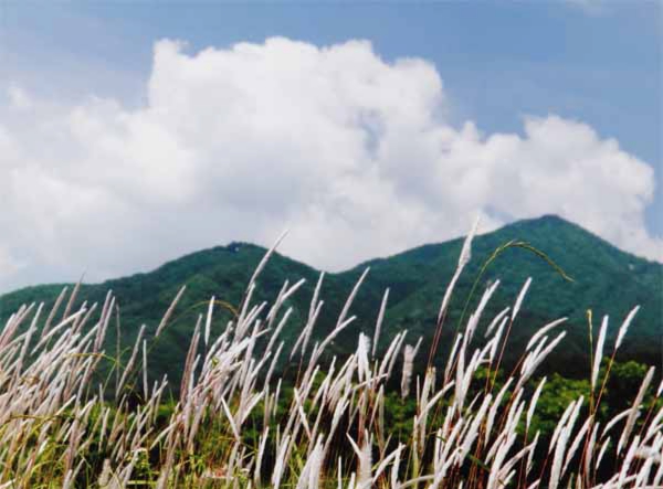 2015-027松村久座光寺宮崎.jpg