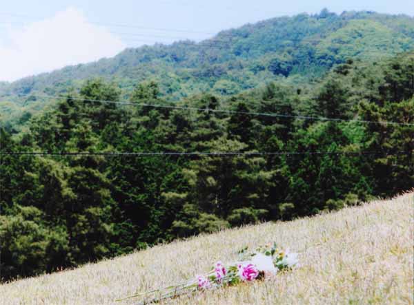 2015-087長沼雄治風越山麓公園.jpg