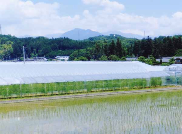 2015-145伊東秀俊飯田市川路.jpg