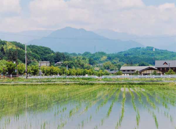 2015-148菅沼博人川路浄化センター北.jpg