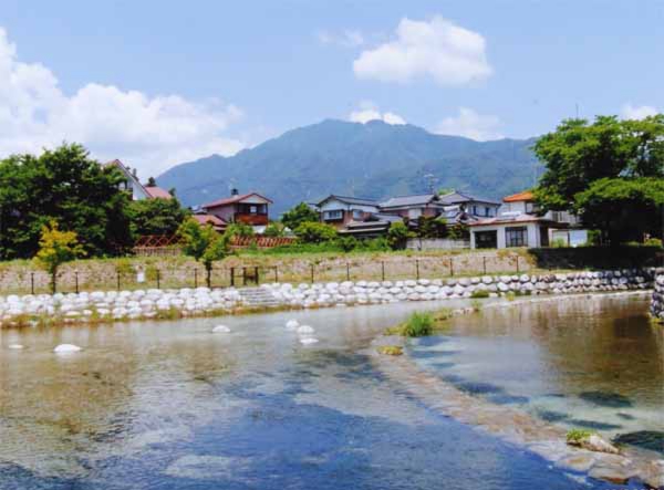 2015-154林正宣大井川公園.jpg