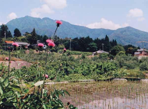 2015-156近藤純治北方入野.jpg