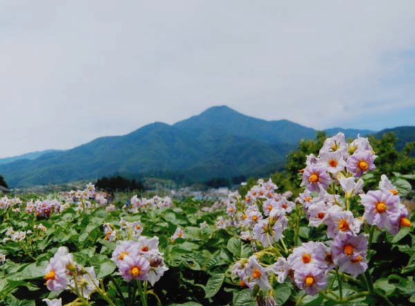 2016-020小室勇治 上郷黒田大明神地区.jpg