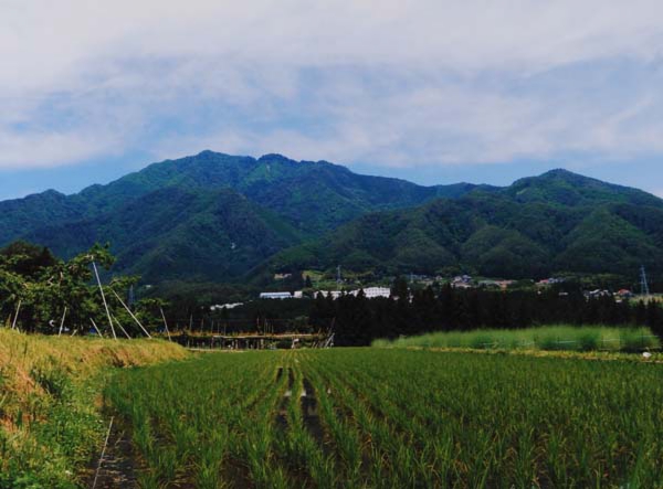 2016-145山下守弘 北方北部大井沿い.jpg