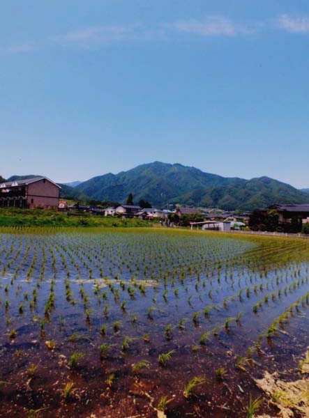 2016-149市瀬佳子 飯田市北方.jpg