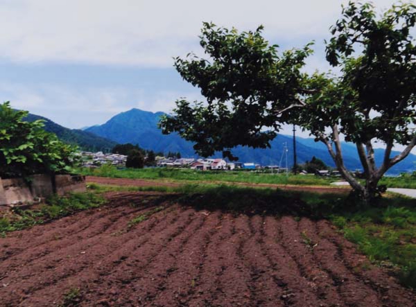 2016-154清水多美勇 飯田市大瀬木鳥屋同志.jpg