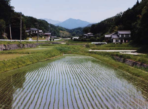 2016-161三ﾂ石克穂 田中乱橋線.jpg