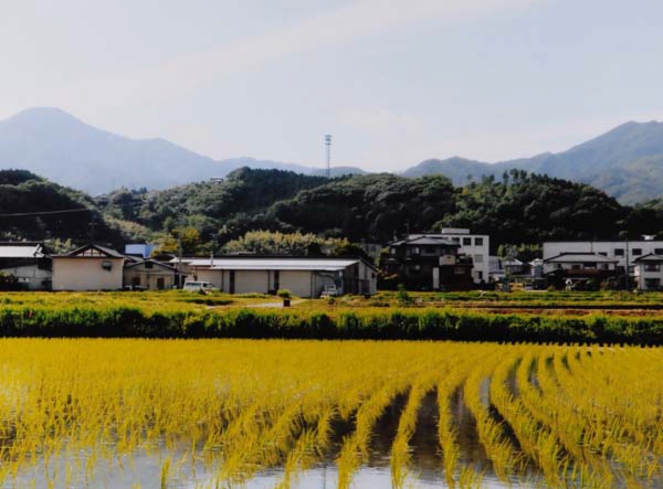 2016-167岡田倫英 飯田市上郷飯沼丹保.jpg