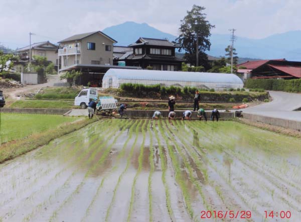 2016-173齊藤満士 水神橋西交差点の下流側.jpg