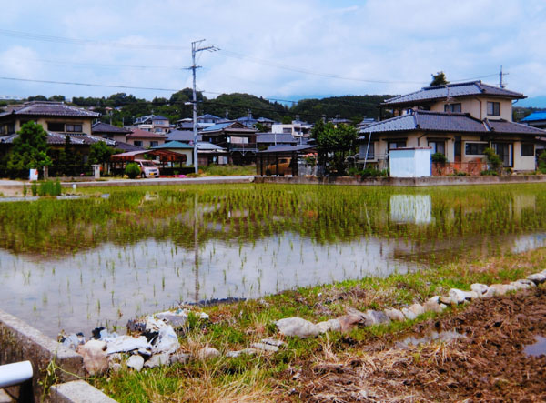 2017-089市瀬和義毛賀.jpg