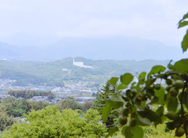 2017-104堀尾千代子龍江大願寺.jpg