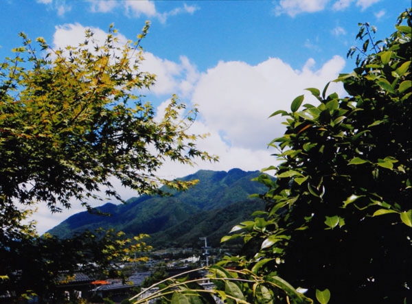 2018-077塚平孝彦_飯田市切石国道153沿道造園.jpg