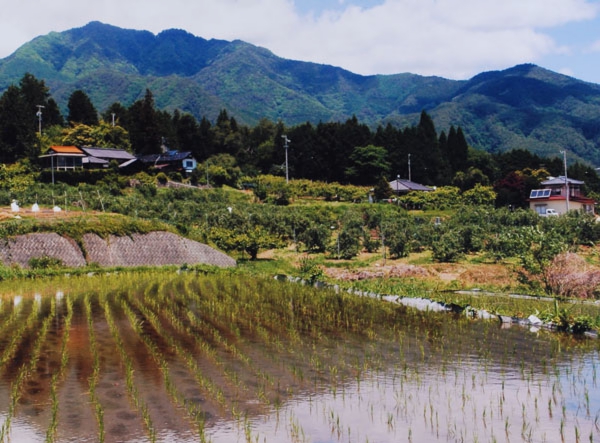 2018-141近純治_飯田市北方入野.jpg